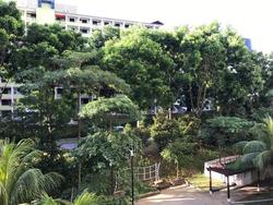 Blk 4B Boon Tiong Arcadia (Bukit Merah), HDB 5 Rooms #147666942